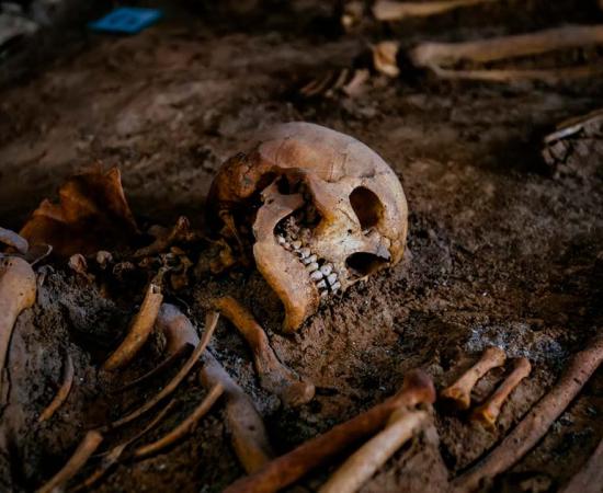 Skeleton in ancient grave at archaeological excavation (representational). Source: Mulderphoto / Adobe Stock.