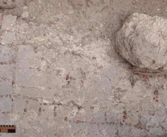 The unique mosaic patolli board discovered at Naachtun, Guatemala.