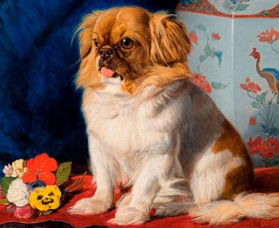 Portrait of Looty the Pekingese lion dog, commissioned by Queen Victoria and painted by Friedrich Wilhelm Keyl. Source: Public domain