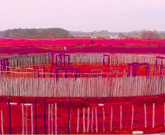 Representation of how Perdigões’ Neolithic “Woodhenge” would have looked (with full worked area highlighted).       Source: ERA Archueologia