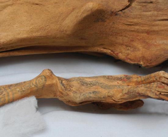 Ancient Peruvian Queen Mummy and her Sacrifice Victims to Undergo DNA Analysis