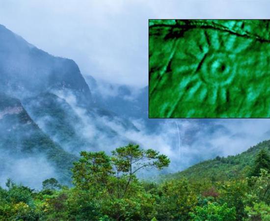Main: Amazon jungle in Peru. Source: Christian / Adobe Stock. Inset: A close-up of one of the engravings on the Peruvian monolith. Source: Daniel Fernandez-Davila / Exact Metrology.