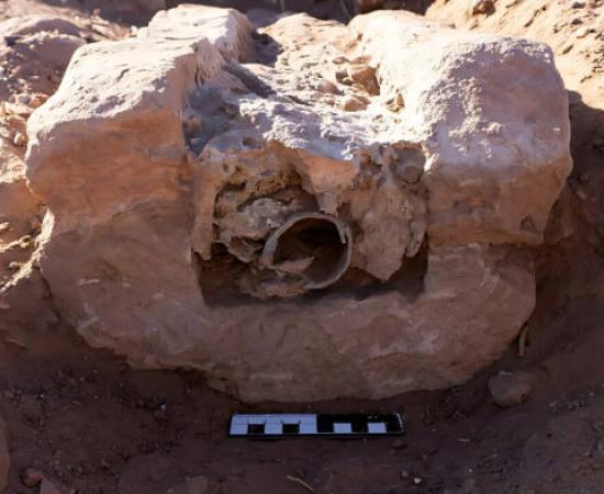 Section of lead pipe found at Petra aqueduct.