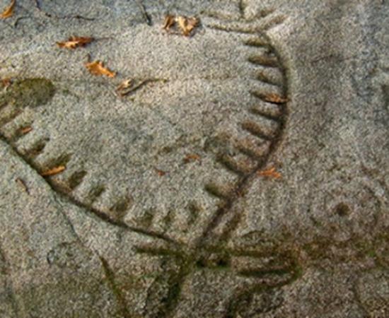 Detail of the Laxe dos Carballos  at Campo Lameiro, Galicia, Spain 