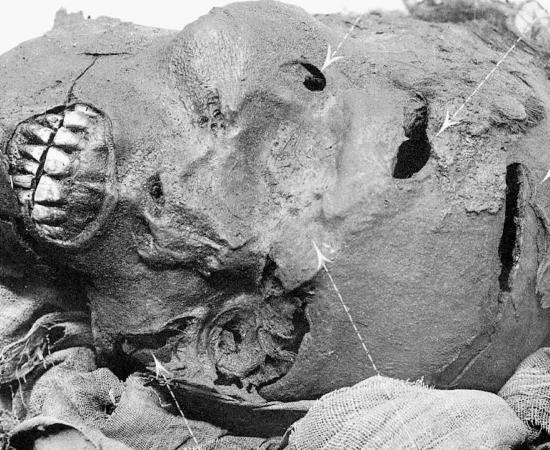 Mummy of Pharaoh Seqenenre Tao (Public Domain)