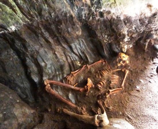 The Pictish man’s skeleton. (NOSAS)