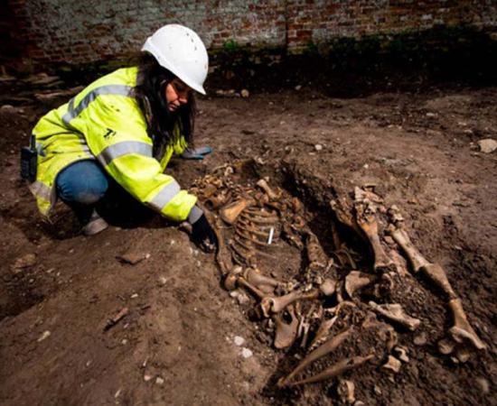 A Pig in a Coffin, A Pregnant Goat, and a Dog That Died in Childbirth: What Were Bizarre Animal Remains Doing in an Anglo-Saxon Church?