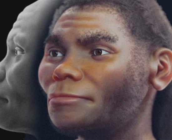 Reconstruction of the Piltdown Man hoax hominin by Cicero Moraes et al.	Source: (© Cicero Moraes et al.)