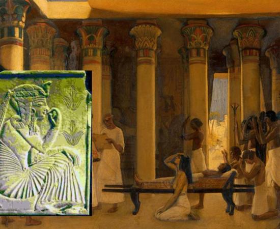 The Ancient ‘Plant of Immortality’ That Treats Over 50 Medical Conditions