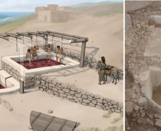 Left; artists impression of the wine press set up. Right; The large Iron Age wine press at Tell el-Burak 