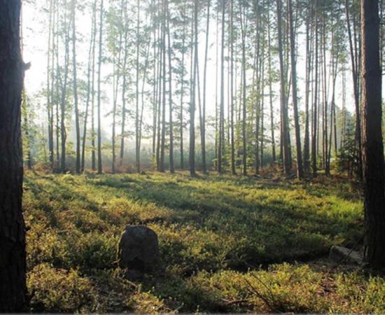 A Polish Stonehenge? Discovery of New Burial Mounds May Rewrite History