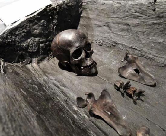 The blackened bones of the Polish ‘princess’ were discovered in a log on a cliff. Source: Marcin Bielecki/PAP