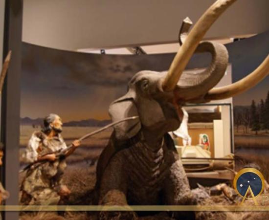 Mammoth hunt, Hyogo Prefectural Museum of Archaeology, Japan (CC BY-SA 2.5)