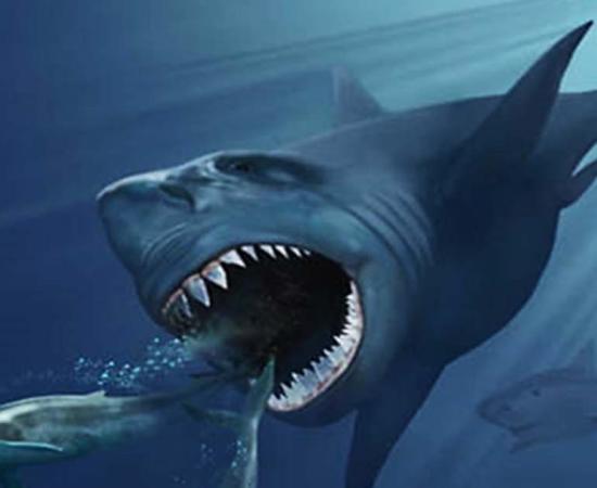 Stay Out of the Water: Does a Prehistoric Shark Still Live in the Ocean?