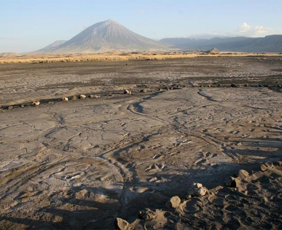 The Engare Sero footprint site, which preserves at least 408 prehistoric footprints dated to between 19,100 and 5,760 years ago. An eruption of Ol Doinyo Lengai, the volcano in the background, produced the ash in which the human footprints were preserved.   Source: Cynthia Liutkus-Pierce / Nature