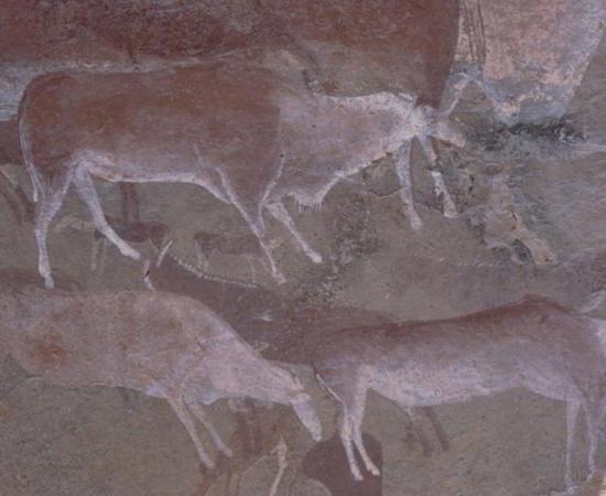 Prehistoric rock art using ochre paint on a cave wall in Drakensberg, South Africa