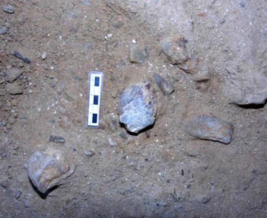 A sample of flint tools found in the Barranc de la Boella site