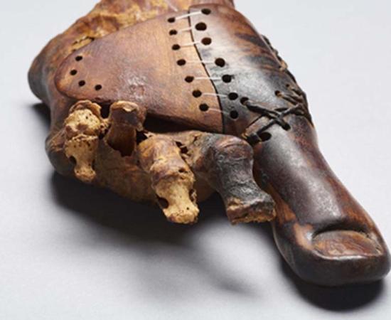 New Revelations When 3,000-Year-Old Prosthetic Toe is Examined with Cutting Edge Technology
