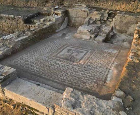 A mosaic featuring two lions recently found at the ancient city of Prusias ad Hypium. Source: Faruk Özlu/Düzce Municipality