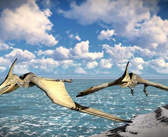 Hidden in Plain Sight: The Pterodactyl of New Guinea