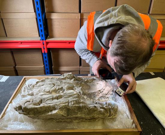 Researcher examining the Roman gypsum burial at the Yorkshire Museum