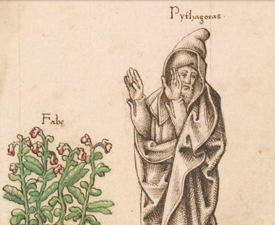 French manuscript from 1512/1514, showing Pythagoras turning his face away from fava beans in revulsion. Source: Public Domain