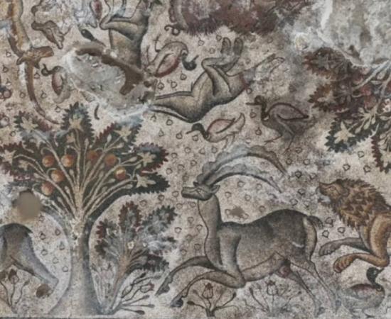 Section of the Roman mosaic floor unearthed in a cherry orchard in eastern Turkey.