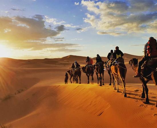 Much of the Radhanites' overland trade between Tangier and Mesopotamia was by camel. Source: Gaper / Adobe Stock