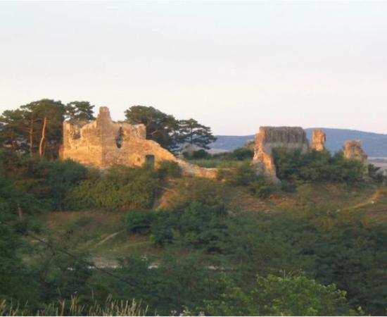 Radiocarbon Dating Confirms Teutonic Fortress