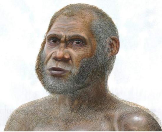 Artist’s reconstruction of a Red Deer Cave man. 