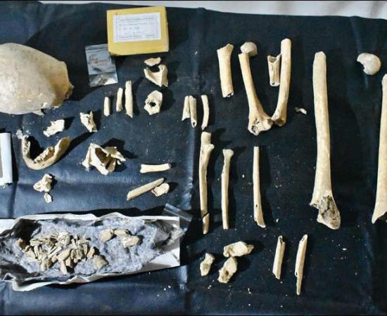 Remains of Bishop Teodomiro, Discoverer of St. James' Tomb, Likely Identified