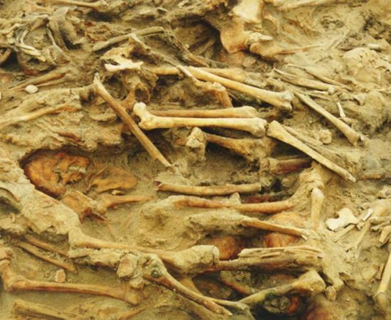 Remains of European soldiers of Napoleon's Grand Army, who died of starvation, disease and the elements, in a mass grave in Vilnius, Lithuania 