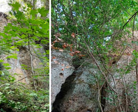 Marcello at the site of Alteto Castle, near Vejano, Lazio, Italy. Source: Marcello Assandri