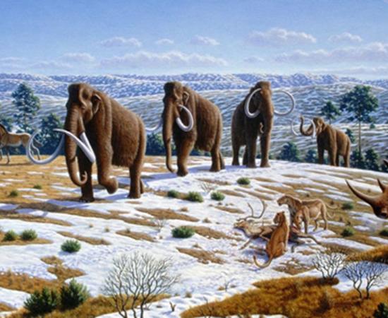 Restoration of a group in late Pleistocene northern Spain, by Mauricio Antón 