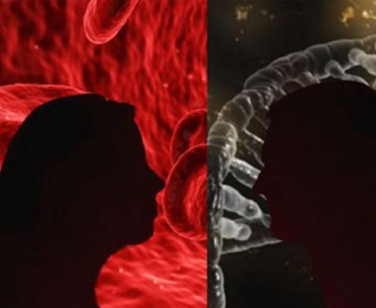 Silhouettes (Public Domain) in front of blood cells (Public Domain) and a gene. 