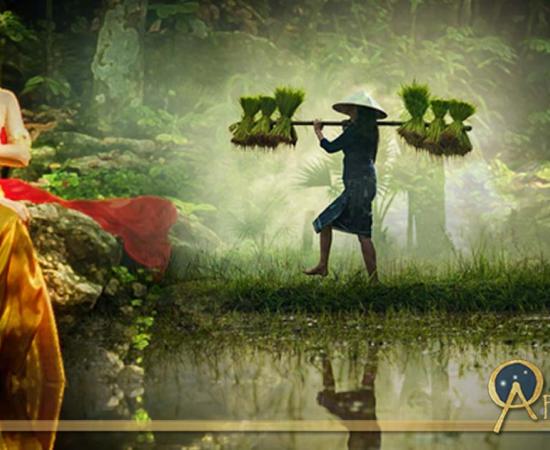 Rice goddesses are found across cultures 