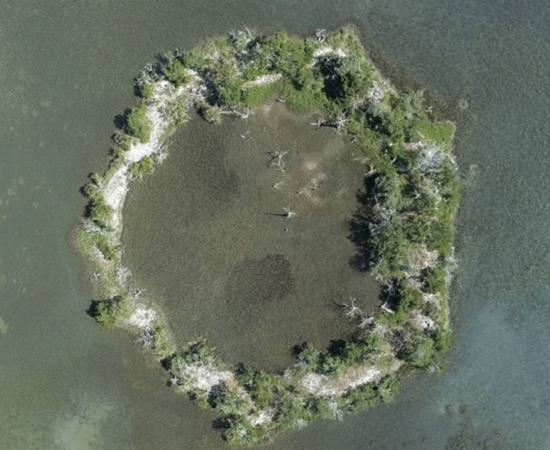 Aerial photograph of Fig Island Ring II off the coast of South Carolina