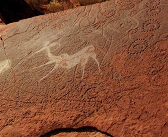 Detail of the kudu engraving which is said to depict female initiation rituals in the Namib desert thousands of years ago. 