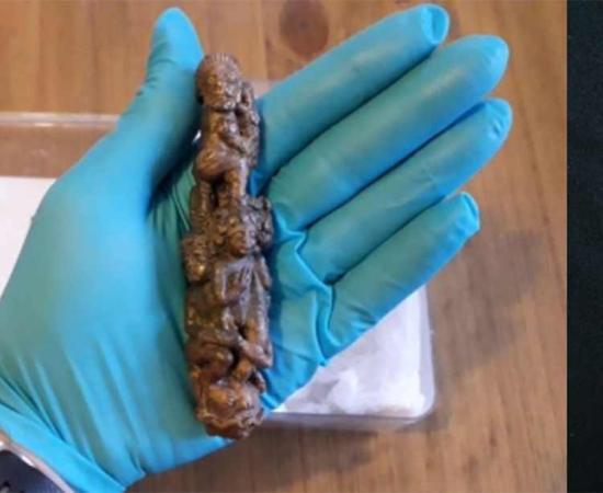 Artifact Reveals People Were Fed To Lions In Roman Britain