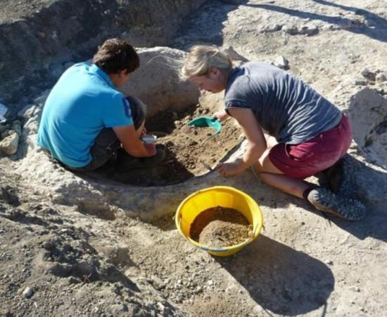 Ancient Roman Elite Made Wine When not at War