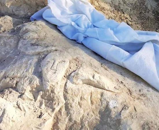 Roman Carvings of a Smiley Face and a Phallus Found in Spain 