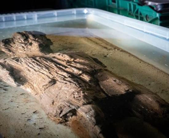 The Roman era wooden statue found at the Twyford Buckinghamshire HS2 rail project dig site in England submerged for cleaning. 	Source: HS2