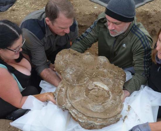 Roman hoard of pewter items from the Euston find site in Suffolk. Source: Suffolk County Council