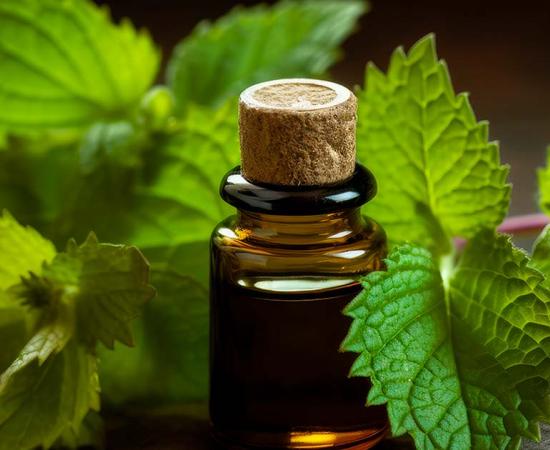 The discovery of remnants of an ancient Roman perfume in a tomb in Spain could be the first time a perfume from Roman times has been identified. Source: sderbane / Adobe Stock 