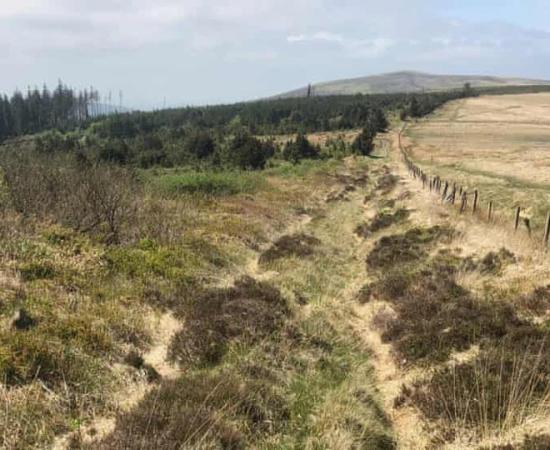 A Roman road found in west Wales was the same road used to transport bluestones to Stonehenge according to the latest research. 		Source: Mark Merrony / Oxford University
