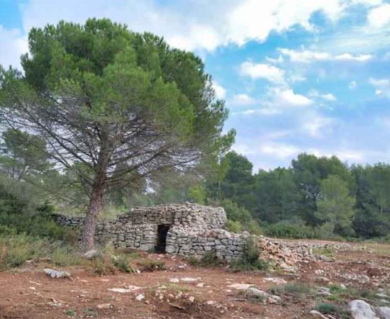 New Section Of Famous Roman Road ‘Via Domitia’ Discovered In France