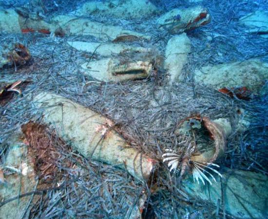 A Roman shipwreck with amphorae as cargo has been found off the coast of Cyprus. 