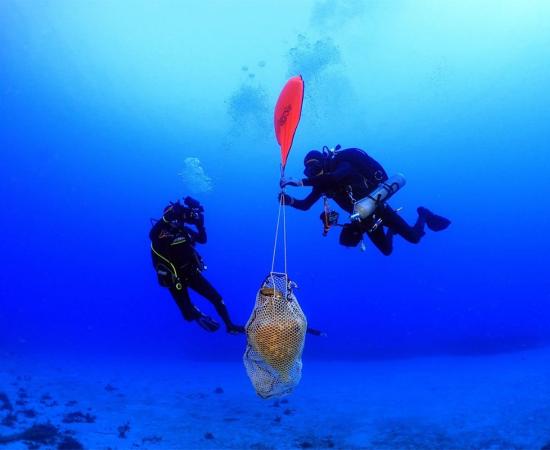 Ancient Treasures Discovered in Roman Shipwreck at Kasos