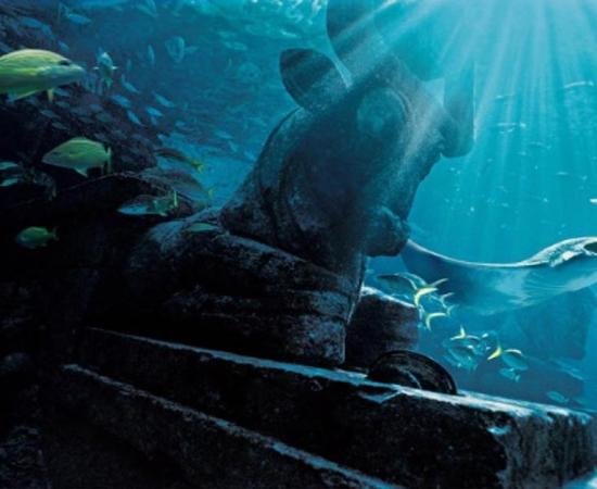 The Ruins Lagoon located in the Royal Towers, home to over 20,000 deep reef and pelagic fish.