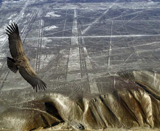 Nazca lines.